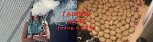 мяу мяу мука Аркадак