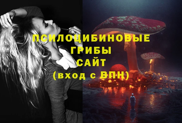 тгк Алексин