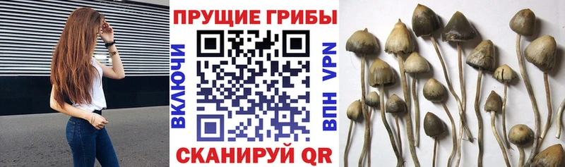 Галлюциногенные грибы мицелий  Учалы 